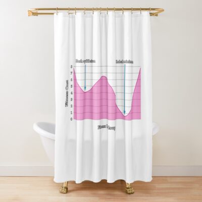 Nash Equilibrium Vs Global Optimum Shower Curtain